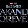 キャステル 【2022年〜】公開予定のアベンジャーズ／マーベル映画とドラマまとめ！公開日や作品同士のつながりも紹介