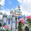 キャステル 【カリフォルニア】ディズニーパークのトリビア5選!アナハイムのパークに隠されたストーリーの数々!