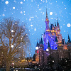 キャステル 【冬】ディズニーで雪が降ったら？雪・寒さ対策や交通機関の注意点まとめ