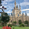 キャステル 【必見】ディズニーで貸し切りを体験する4つの方法!スポンサー貸切やパーク・ファン・パーティーまとめ!