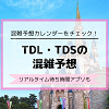 キャステル 【ディズニー混雑予想】2025年のTDL・TDSの混み具合は?10月・11月・12月は混む?リアルタイム待ち時間アプリも