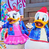 キャステル ディズニーの鳥キャラクターまとめ！20羽の鳥たちの出演映画＆個性豊かな性格も！