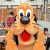 キャステル ディズニーの犬キャラクター16選!名前や登場映画と併せてご紹介!主人公犬から愛犬まで♪
