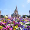 キャステル 【最新】ディズニーの入園者数はどう変わる?5,000人・1万人・2万人制限の混雑などを比較!