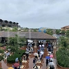 キャステル 【ディズニーシー】雨の日の楽しみ方7選!アトラクションに乗り放題?隠れミッキー探しもおすすめ!