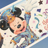 キャステル ディズニーランドのチケット値段まとめ!お得な割引チケット&期間限定チケットも!