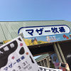 【マザー牧場】アクセス方法まとめ(電車、車、バス、フェリー)東京・横浜発、お得なチケット情報も!