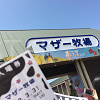 キャステル 【2018】マザー牧場営業時間まとめ！平日・週末、春夏秋冬、サマーナイトファーム、休園日も