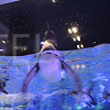 キャステル 【すみだ水族館】ペンギン好き必見!名前、赤ちゃんに会える時期、ペンギンカフェを紹介!