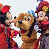 キャステル 【ディズニー】人気の犬キャラ「プルート」徹底解説!グッズ・誕生日・会える場所はどこ?