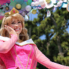 キャステル オーロラ姫は恋愛上手なプリンセス！眠れる森の美女は恋のバイブル？物語のあらすじや設定まとめ！