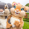 キャステル 【2019】ディズニーのとんすけ＆ミスバニーグッズ7選！パスケース・ヘアバンド・キャップ・ストラップがかわいい！