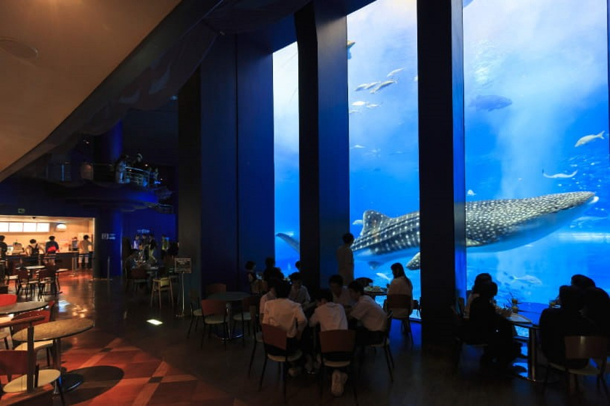 美ら海水族館内カフェ「オーシャンブルー」