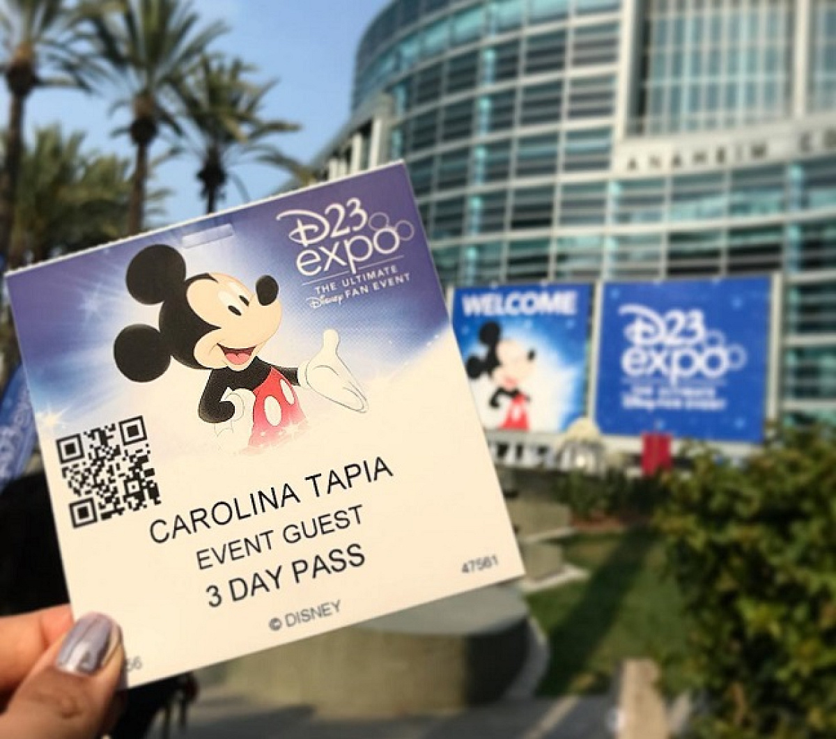 D23EXPO