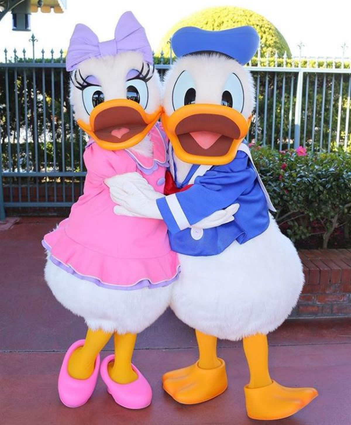 ディズニー　ドナルド　デイジー　タペストリー ℍ𝕒𝕡𝕡𝕪 𝔹𝕚𝕣𝕥𝕙𝕕𝕒𝕪 デイジー💜🤍💜🤍 #ディズニー