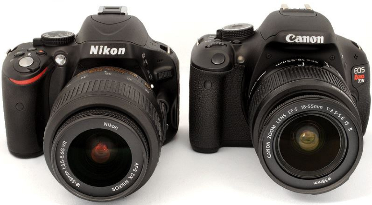ニコンのカメラとキヤノンのカメラ（エントリー機種）