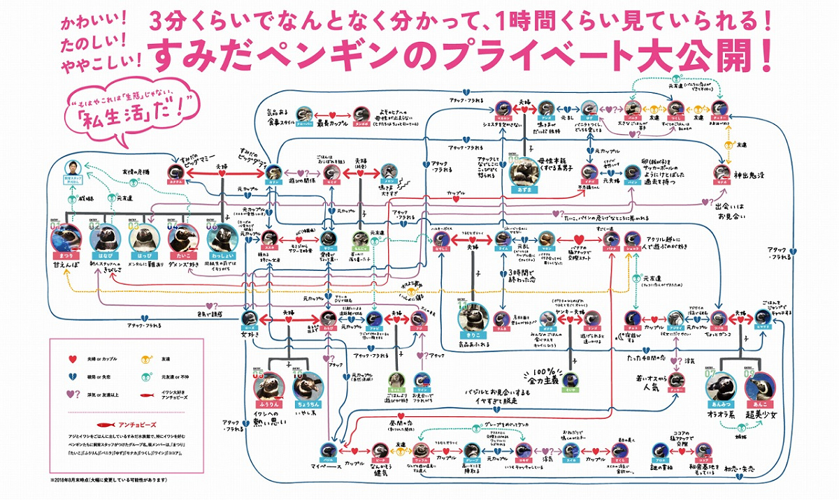 ペンギン相関図