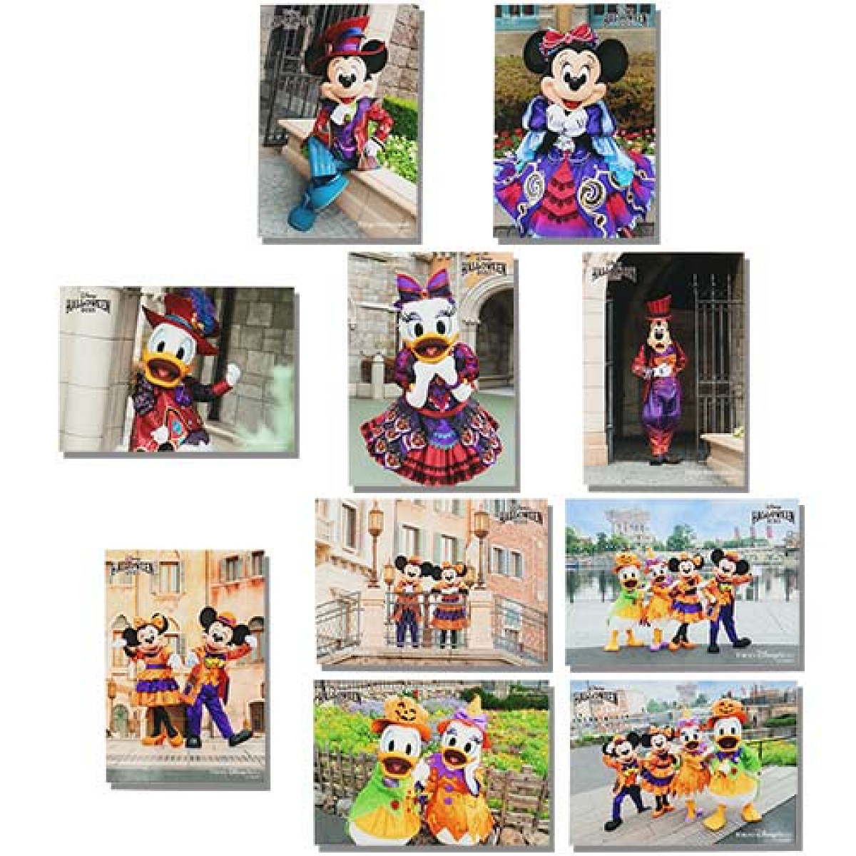写真セット(ディズニーハロウィングッズ2025)