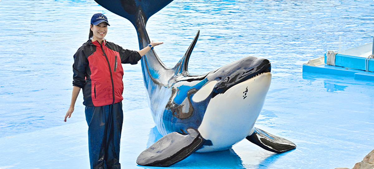 名古屋港水族館の公開トレーニング