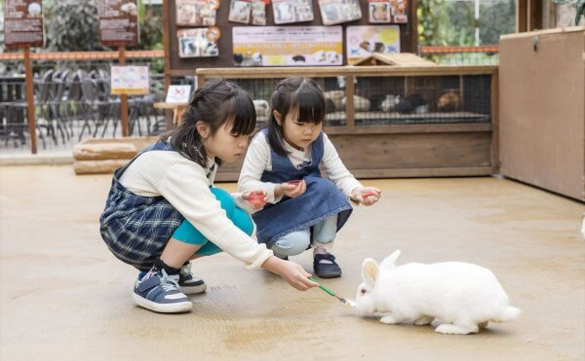 ピョンタッチ広場