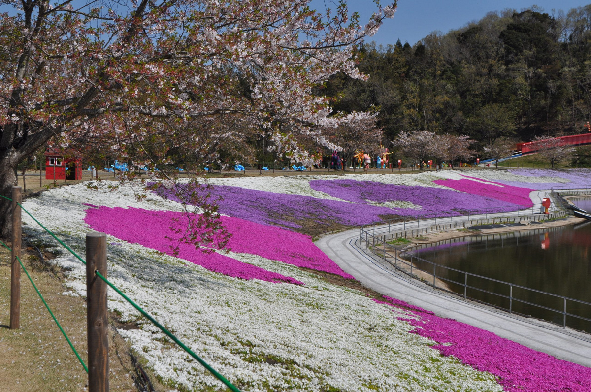 東京ドイツ村