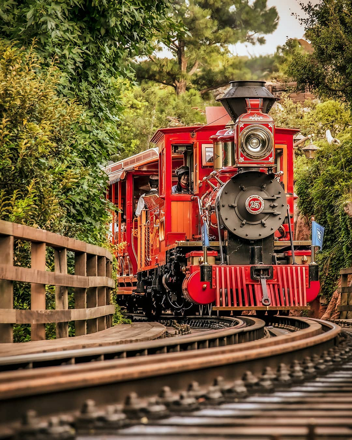 東京ディズニーランドウエスタンリバーレールロード リオグランデ