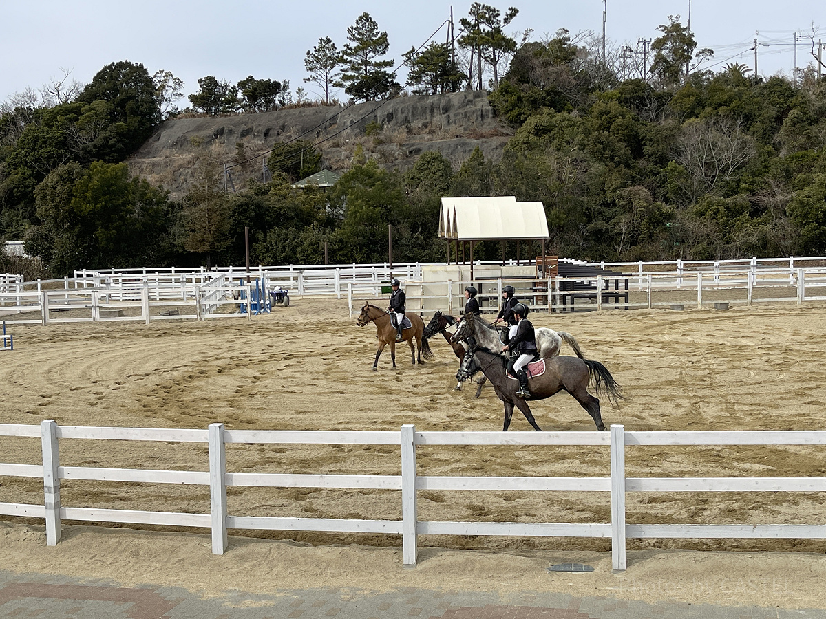 カッコよく乗馬体験ができるホースキャンプ