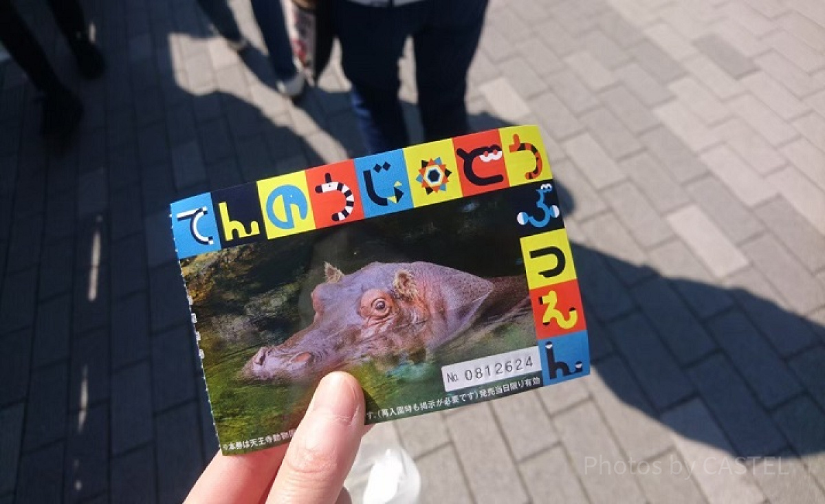 天王寺動物園の入園券| キャステル | CASTEL ディズニー情報