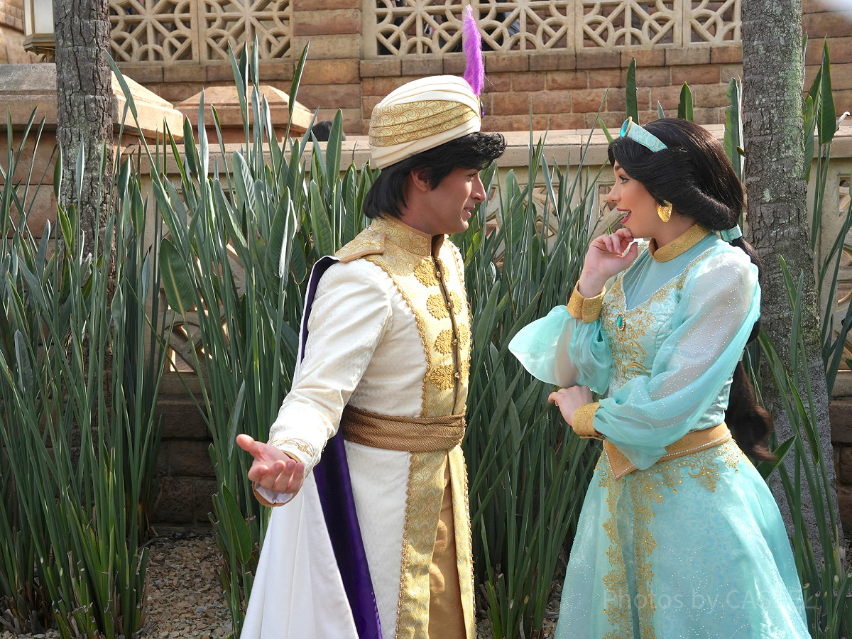 アラジンとジャスミンのペアグリ