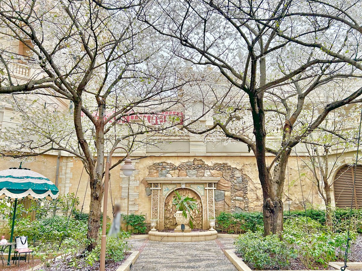 ディズニーシーのピクニックエリア・ノースの桜