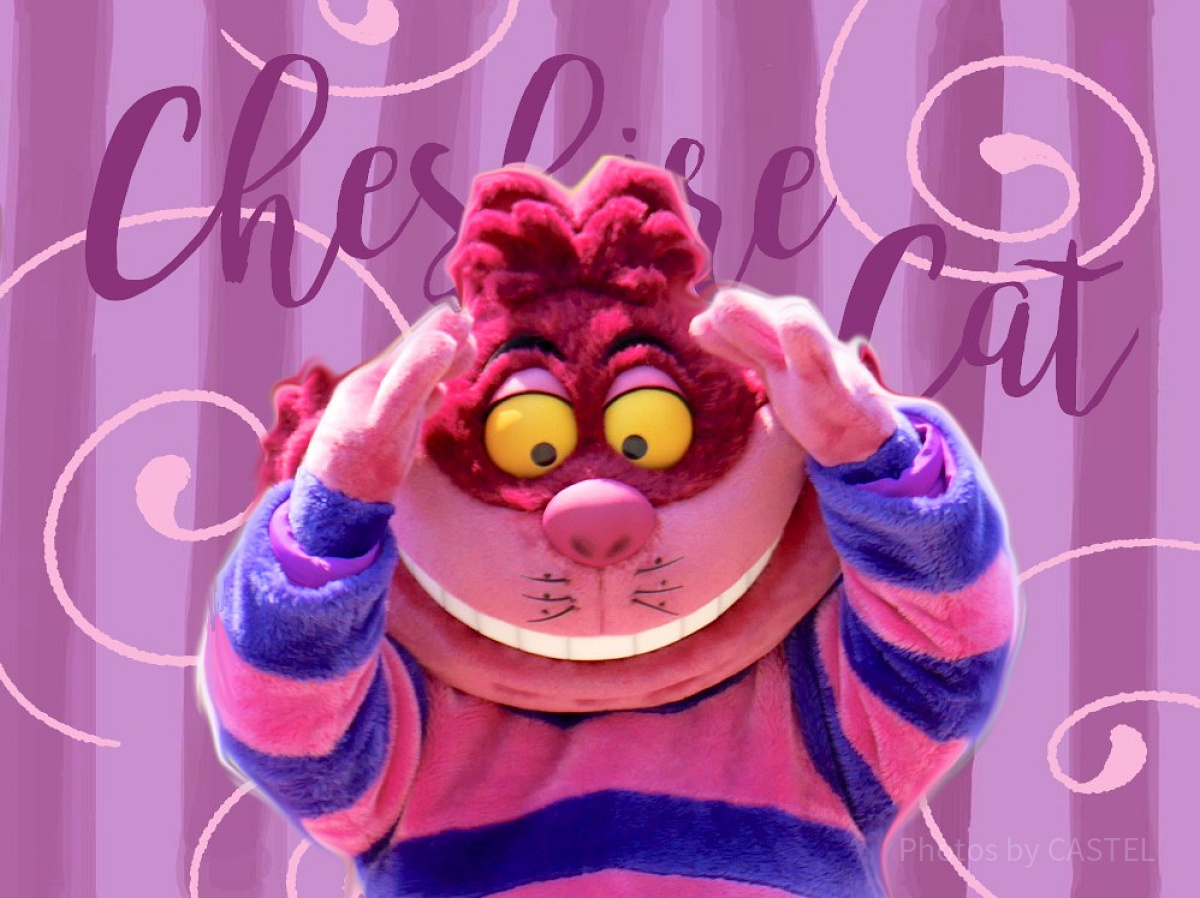 チェシャ猫グッズ| キャステル | CASTEL ディズニー情報
