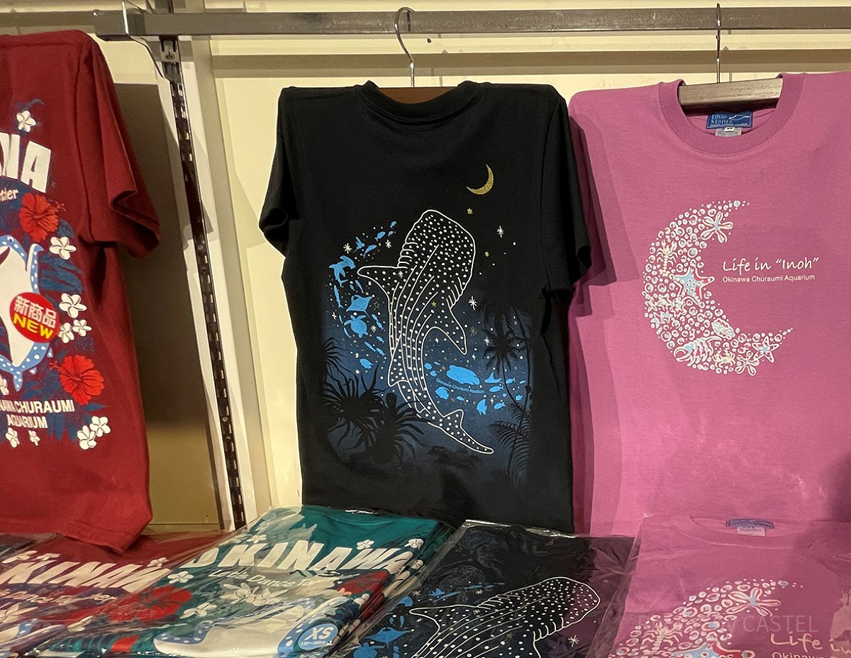 美ら海水族館のナイトアクアリウムTシャツ