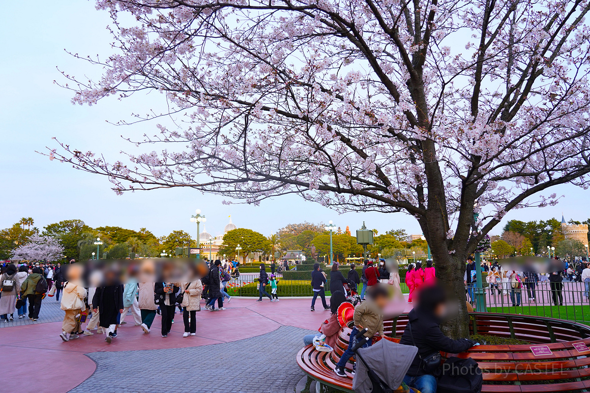 ディズニーランドの混雑状況（2022年4月2日撮影）