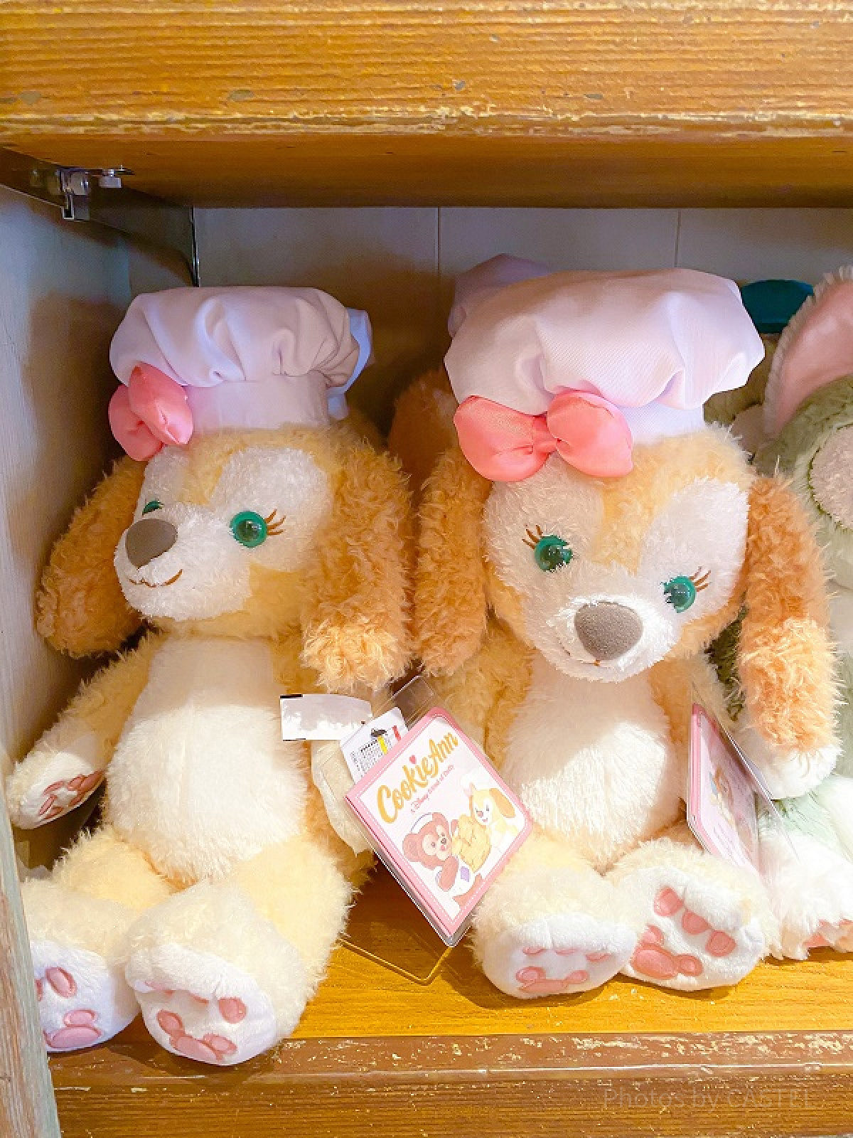 お顔厳選】新作 上海ディズニー サマーシリーズ クッキーアン