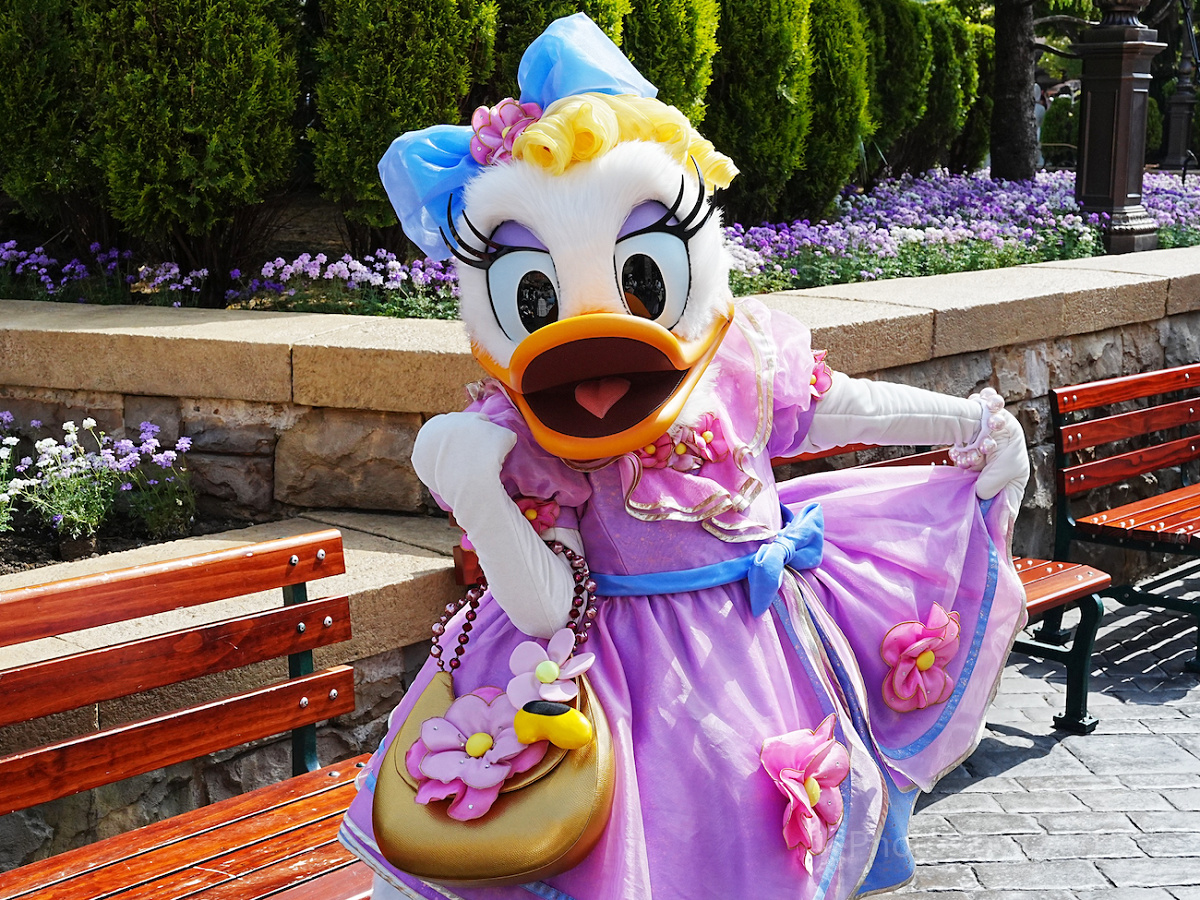 デイジーダック| キャステル | CASTEL ディズニー情報