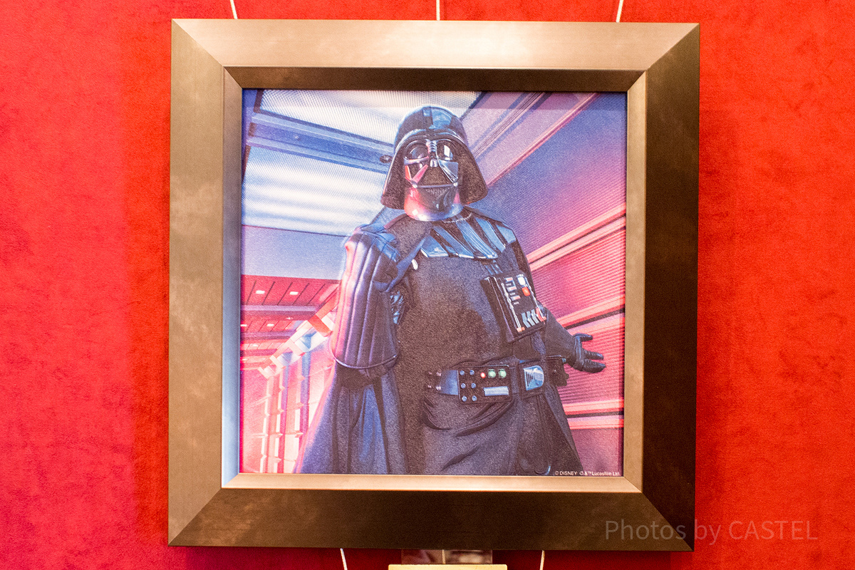 【グリ・新品 No 315】 ポップアートパネル ダース ベイダー グリ・新品 No 315】 ポップアートパネル ダース ベイダー 新品 No 315