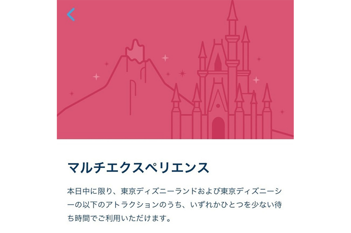 ディズニーマルチエクスペリエンス