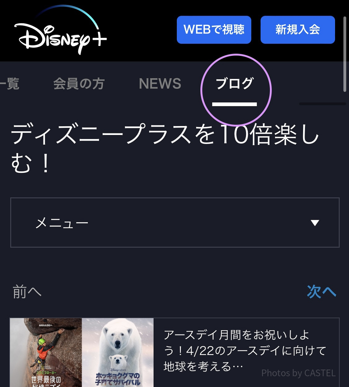 ディズニープラス ブログ