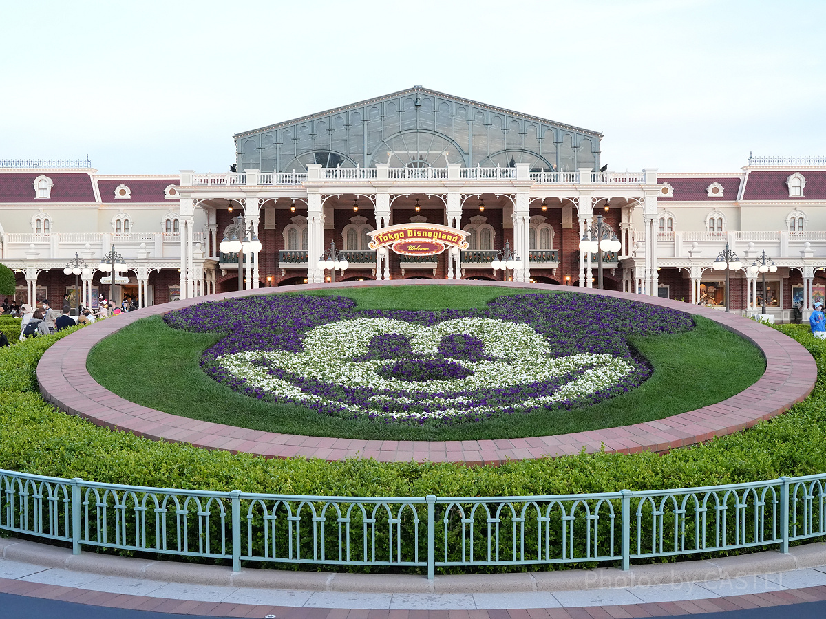 ディズニーリゾートは植物の宝庫