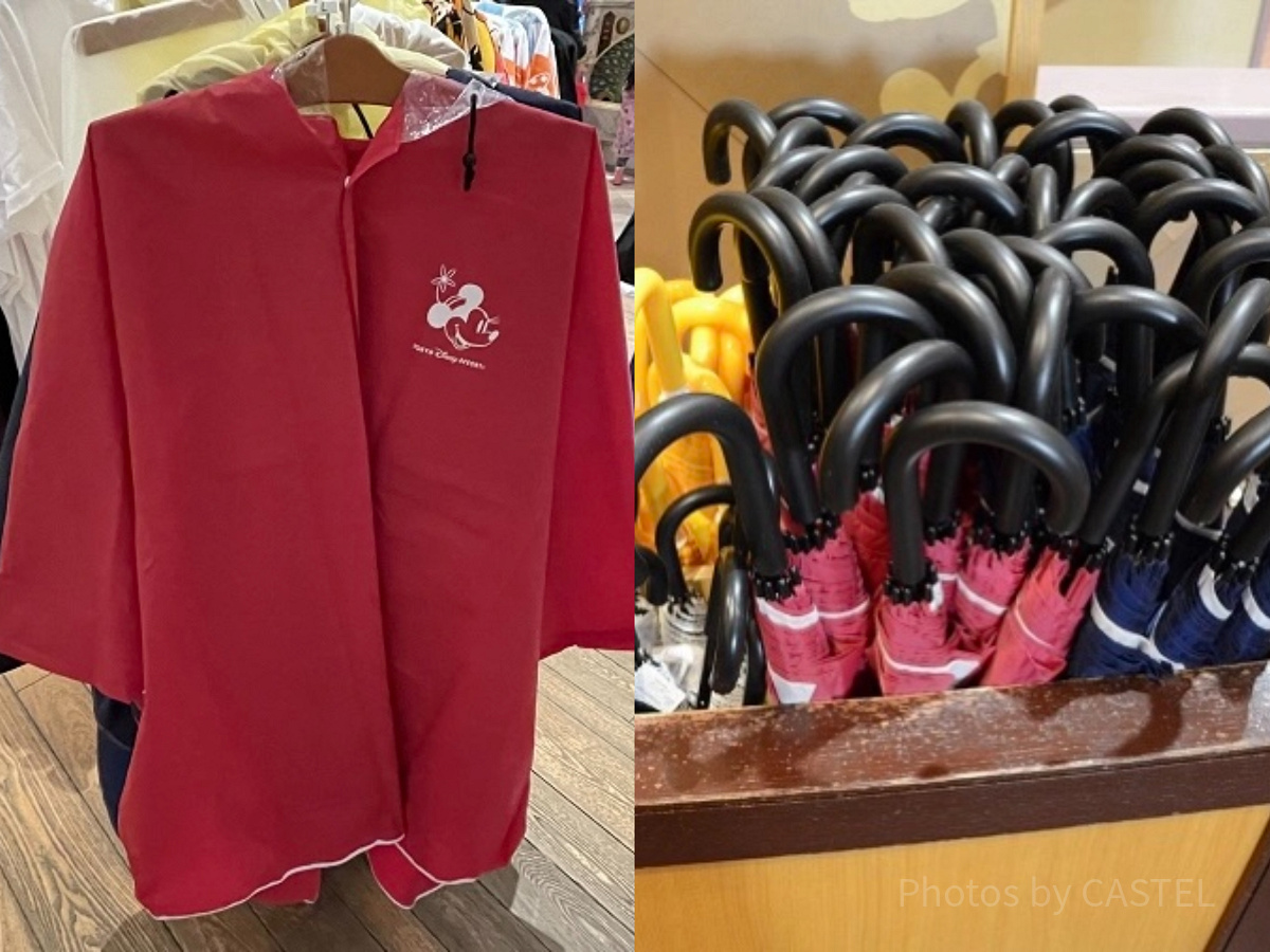 雨の日の子連れディズニーにおすすめの持ち物は何？