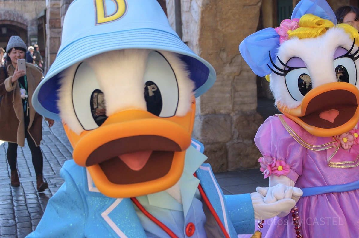 ディズニー　ドナルド&デイジー tokyodisneyresort_official #tokyodisneyresort #tokyodisneyland