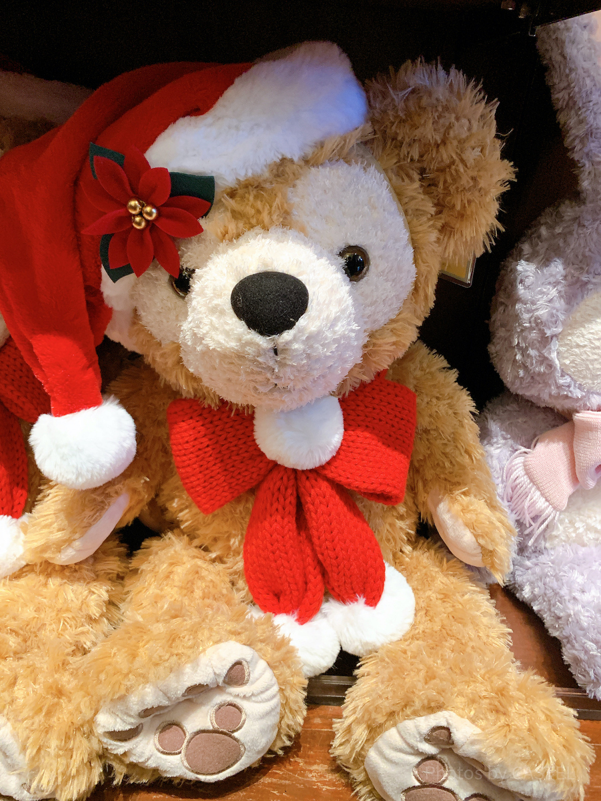 ディズニークリスマス ダッフィーぬいぐるみ 公式】ダッフィー&フレンズのシークレット・オブ・スノーウィーデイ