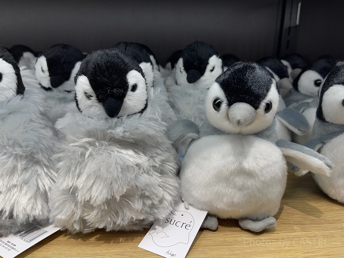 皇帝ペンギンSぬいぐるみ（アクアパーク品川グッズ）| キャステル