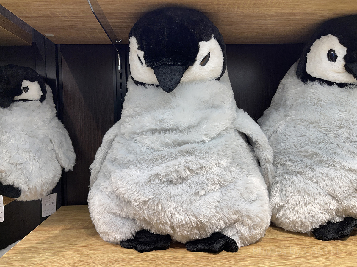 皇帝ペンギンXLぬいぐるみ（アクアパーク品川グッズ）| キャステル