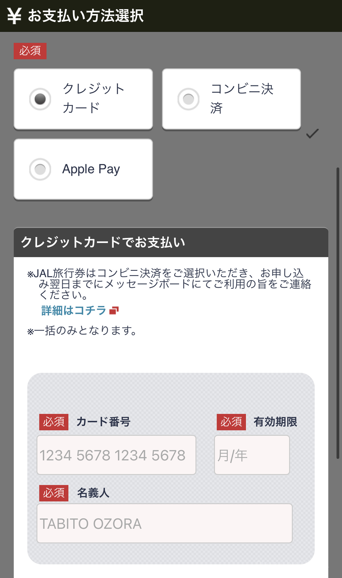 お支払い情報を入力（JAL）