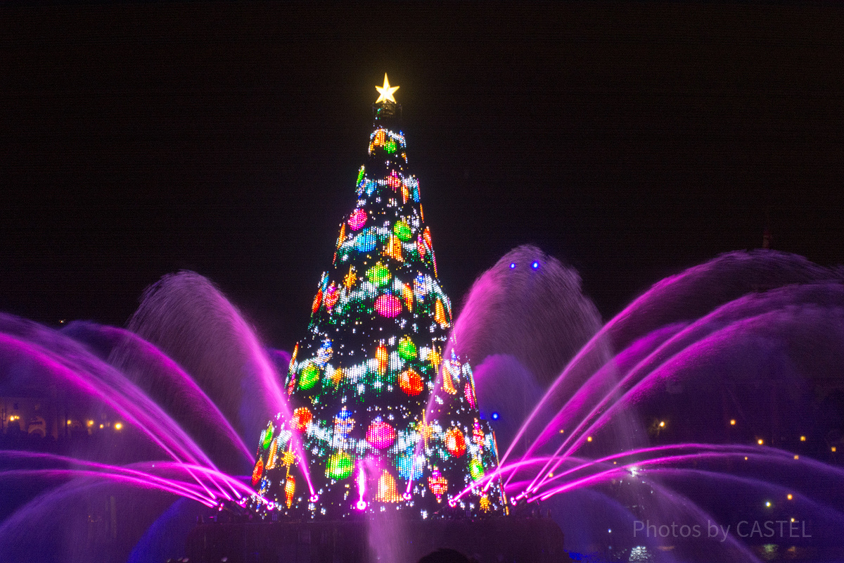 「カラー・オブ・クリスマス」の巨大クリスマスツリー