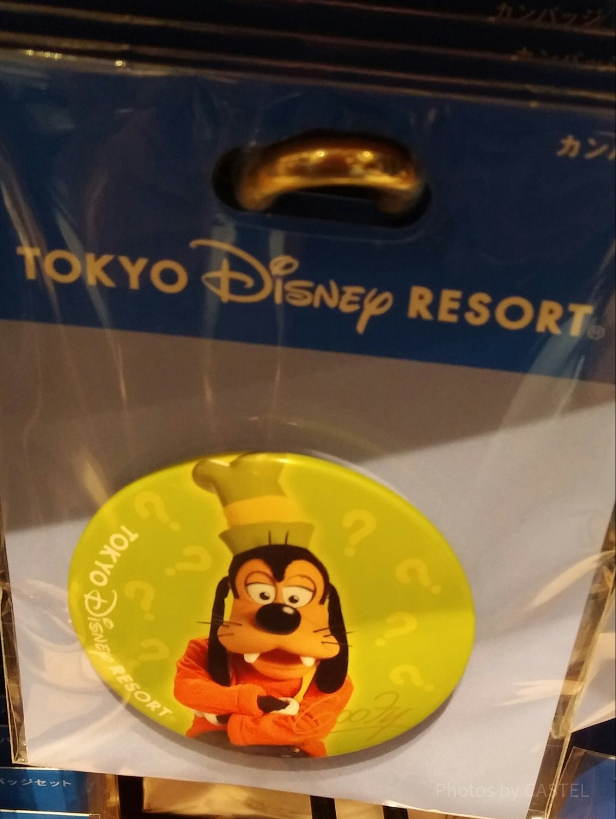 グーフィー 実写缶バッジ　35個 グーフィー実写缶バッチ| キャステル | CASTEL ディズニー情報