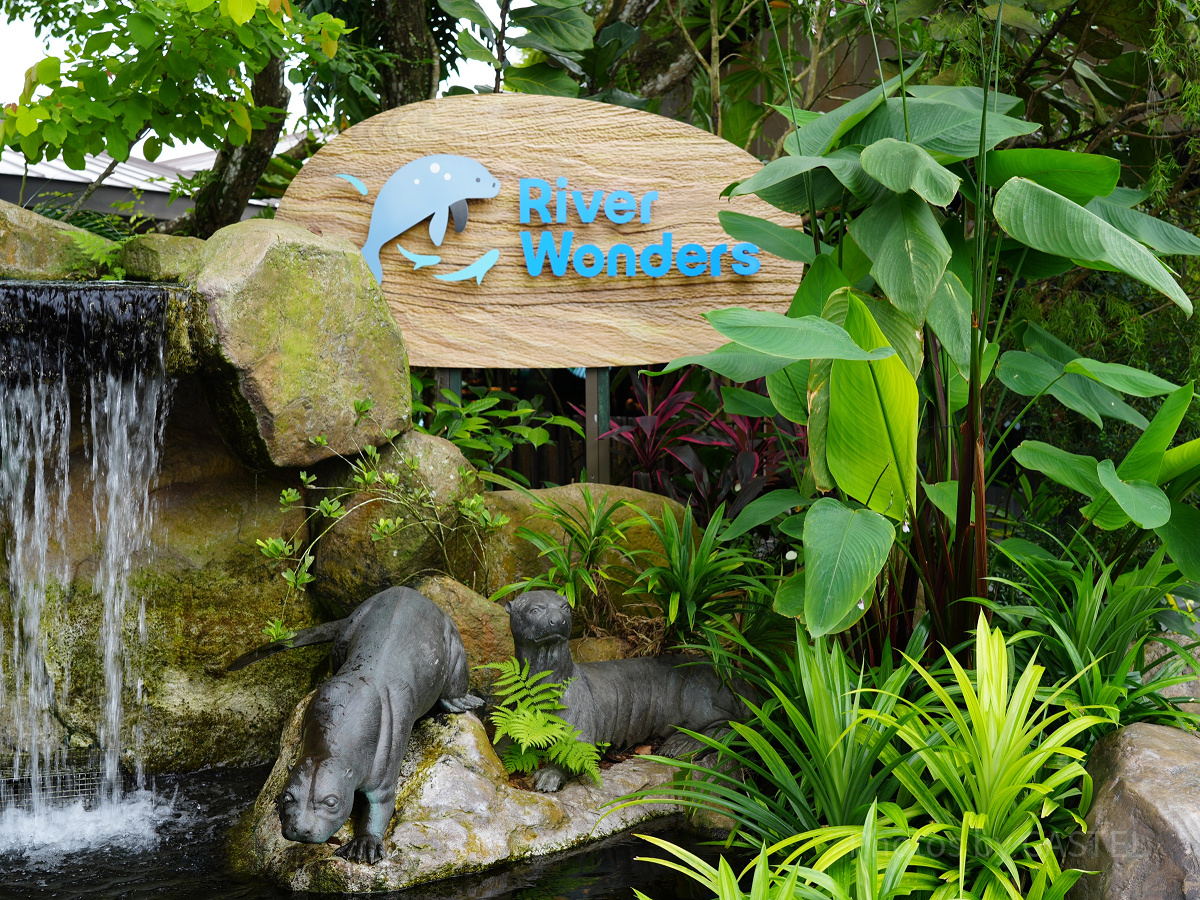 リバーワンダー キャステル CASTEL ディズニー情報