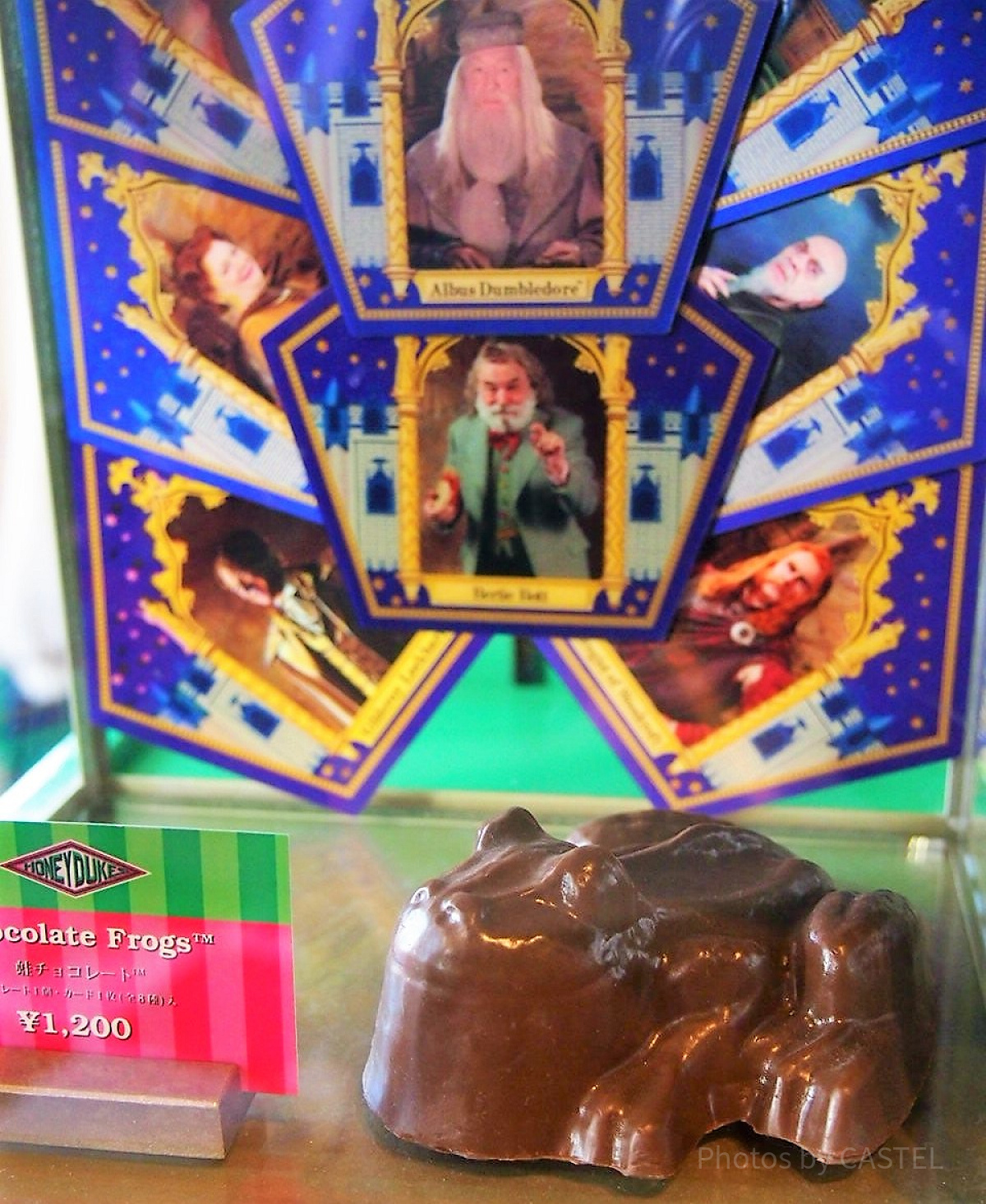 ハリー・ポッターの蛙チョコ