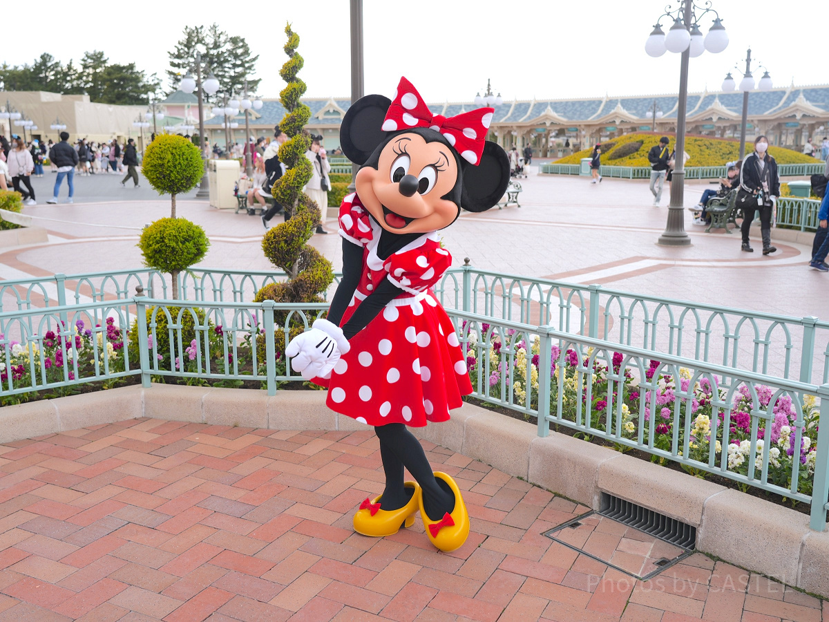 どうすればディズニーでミニーに会える？